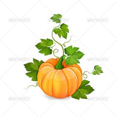 an orange pumpkin with green leaves on a white background - food objects objects / objects illustrations