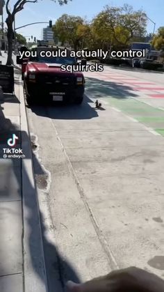 a person is walking down the sidewalk with a red car in front of them and a sign that says, you could actually control squirrels