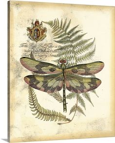 a dragonfly sitting on top of a fern leaf next to a crown and coat of arms