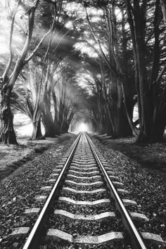 a black and white photo of train tracks in the middle of trees with sunlight coming through