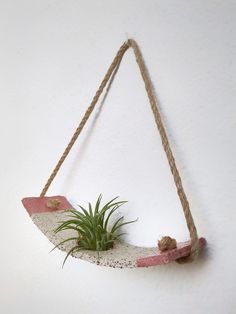 an air plant hanging from a rope on a wall with a pink and white board attached to it