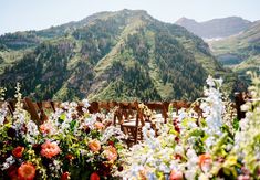 there are many chairs in the field with flowers on them and mountains in the background