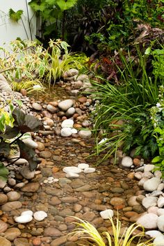 a garden with rocks and plants in the foreground