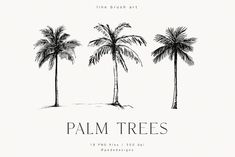 three palm trees with the words palm trees written in black ink on a white background