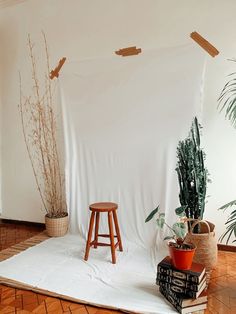 a white backdrop is set up in front of a stool and some potted plants