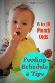 a baby eating food with the title 8 to 10 month olds feeding schedule & tips