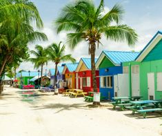 a row of colorful beach huts next to palm trees