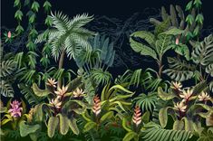 an image of a jungle scene with plants and flowers in the foreground, on a black background