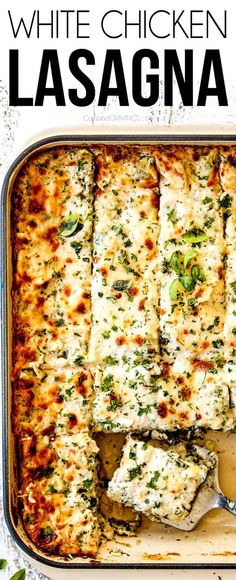 white chicken lasagna in a casserole dish