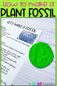 a close up of a plant fossil on a piece of paper with the text how to make a plant fossil