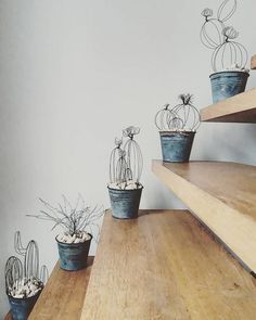 there are many potted plants sitting on the wooden shelves in front of the wall