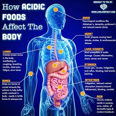 AcidFoods Acidic Foods, Alkaline Diet, Body Organs, Feeling Sick, Acid Reflux, Cardiovascular Disease, The Human Body