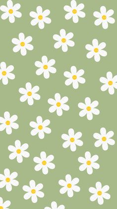 a green background with white daisies on it