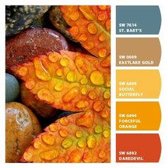 the color scheme for autumn is orange, yellow, and green with lots of water droplets on it