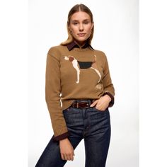 Brown (100% Cotton). Knit. Crew Neck. Pull on. Imported. Ralph Lauren Dog, Sweaters Ralph Lauren, Lauren Brown, Brown Dog, Ralph Lauren Sweaters, Rent The Runway, Dog Sweater, Ralph Lauren Sweater, Cotton Knit