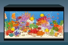 an aquarium filled with colorful fish and corals