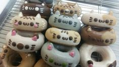 there are many donuts decorated to look like cats