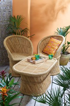 two wicker chairs sitting next to each other in front of a wall with potted plants