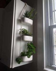 a white shelf with plants hanging from it's sides in front of a window