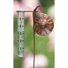 a thermometer with an insect on it