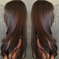 Glossy Mocha Hair, Korean Bayalage, Black Hair Gloss, Black Hair Inspo Color, Chesnutt Brown Color Hair Straight, Mocha Highlights On Black Hair, Dark Brown Glaze Hair, Glazed Brown Hair, Honey Dark Brown Hair