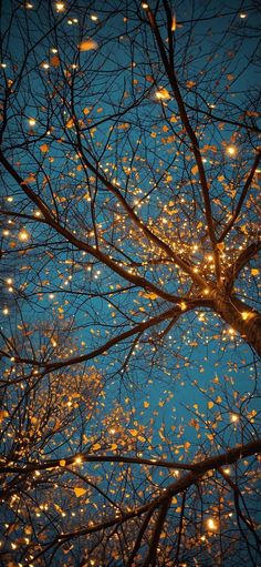 the branches of a tree are lit up with yellow lights at night, against a blue sky