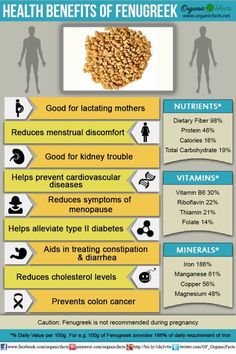 Fenugreek is our Herb of the Month this November at Healthy Habitz 4 Life Benefits Of Fenugreek, Respiratory Disorders, Fenugreek Benefits, Calendula Benefits, Bored Art, Coconut Health Benefits, Stomach Ulcers, Healing Plants, Benefits Of Coconut Oil