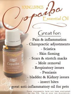 Young Living Oils Recipes, Living Oils Recipes, Copaiba Essential Oil, Essential Oils 101, Essential Oil Remedy, Oil Remedies