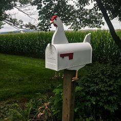 a white mailbox with a red rooster on it