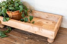 a potted plant sitting on top of a wooden shelf