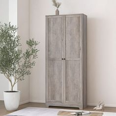 a tall wooden cabinet next to a potted plant in a room with white walls