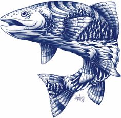 a drawing of a fish on a white background