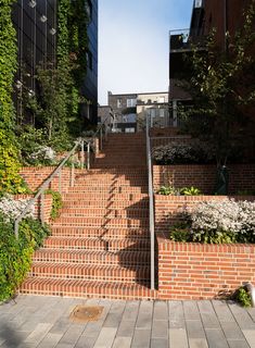 an outdoor stair case with brick steps and plants growing on the sides, surrounded by tall buildings