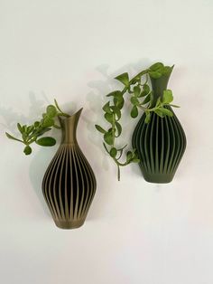 two vases with green plants in them against a white wall, one is black and the other is brown