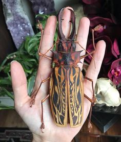 a person holding up a small bug in their hand with other bugs around it and flowers behind them