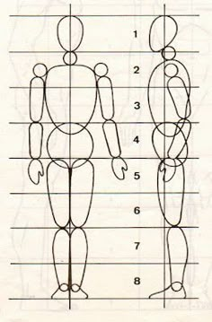 an image of the height and body of a human figure with measurements for each individual