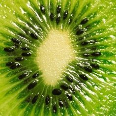 the inside of a kiwi fruit slice