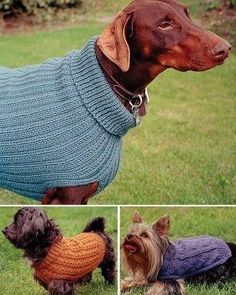 three pictures of dogs wearing sweaters in different colors and sizes, one is brown and the other is blue