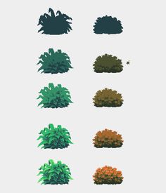 the different types of bushes are shown in this image