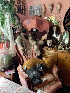 a cat is sitting on a chair in front of a dresser with many other items