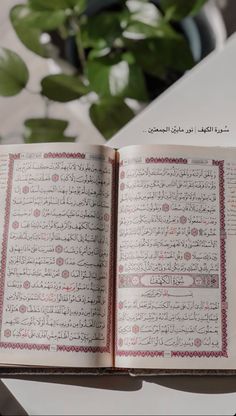 an open book with arabic writing on it next to a potted plant and table