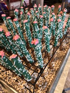 many cactus shaped cookies are on display in a metal tray with rocks and pebbles around them