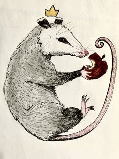 a drawing of a rat with a crown on it's head eating an apple