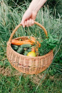 a person holding a wicker basket full of fresh fruits and vegetables in the grass