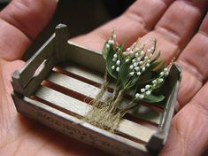 someone is holding a tiny piece of wood with flowers in the middle and grass growing out of it