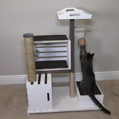 a cat playing with a toy on top of a scratching post in a room next to a wall