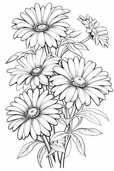 some daisies in black and white on a white background