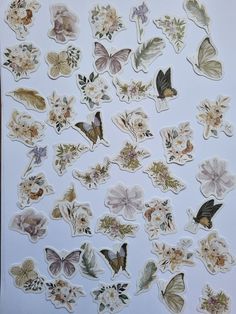 an assortment of flowers and butterflies on a sheet of paper