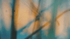 blurry photograph of tree branches in front of blue and yellow background