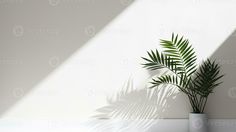 a potted plant sitting on top of a table next to a white wall with the shadow of a palm tree